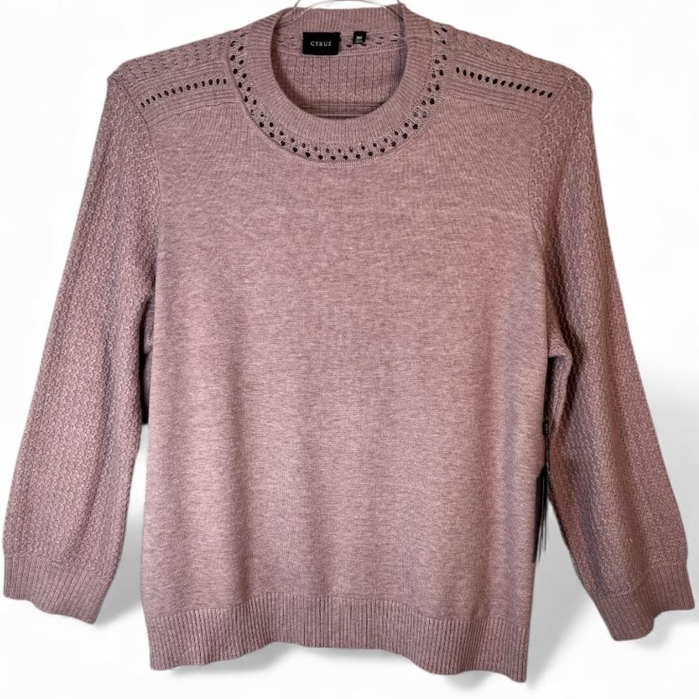 CYRUS  “Orchid” Dusty Mauve Pink Crew Neck Sweater | NWT | 3X
